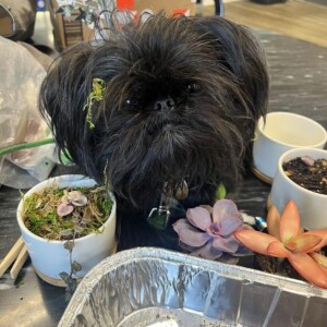 We would garden with Clover any day, anytime, anywhere.