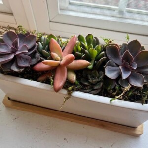 The finished product looks like a professional arrangement - fantastic job, Angela!